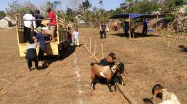 Kerja Bakti Persiapan Qurban Masjid Al Munawwaroh