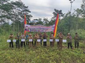 Panen Raya Palawija Bersama Bupati Gunungkidul di Kalurahan Ngestirejo