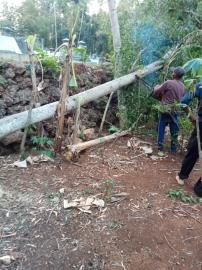 Warga Masyarakat Mrico Melaksanakan Kerja Bakti Dilingkungan Makam Padukuhan Mrico