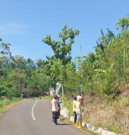 Pengukuran Tanah Kas Desa (TKD) Kalurahan Ngestirejo