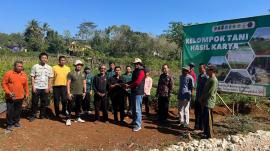 Penyerahan Bibit Kayu Putih dari BPDASHL SOP DIY