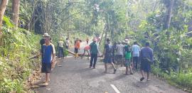 Pemangkasan dan Penebangan Pohon Rawan Tumbang bersama BPBD dan PLN