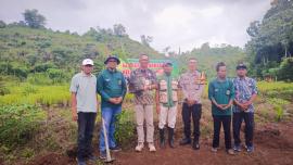 Penanaman Kelapa Genjah Entog di Bruno II