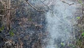 Lahan Bulak Karang Anom Terbakar, Warga Dihimbau Tidak Membakar Sembarangan