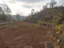 Kemarau panjang, Petani Menunda Masa Tanam